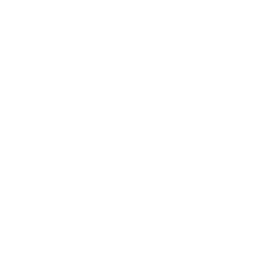DS Equine Strategies